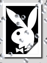 playboy